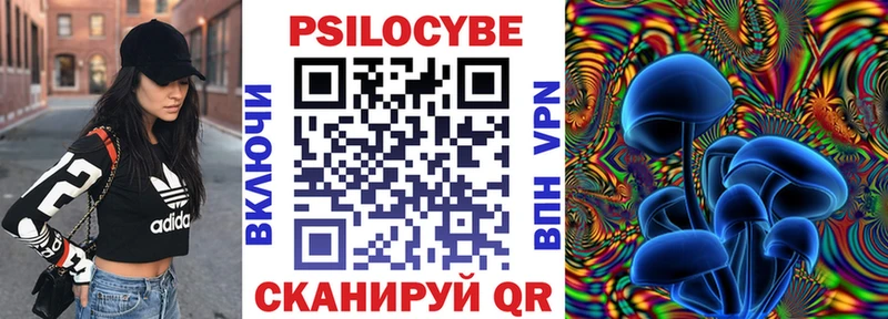 Псилоцибиновые грибы мицелий  Обнинск 